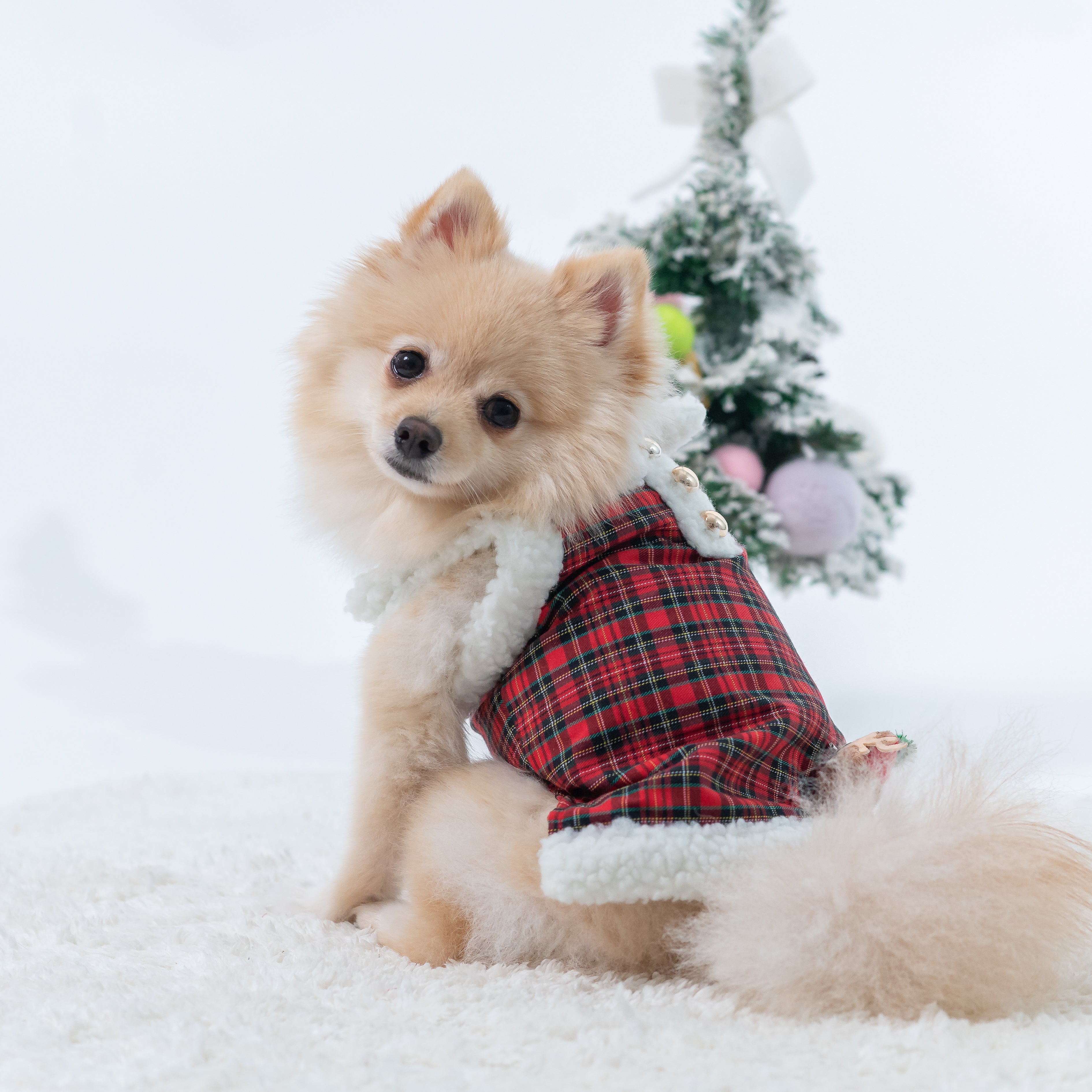 Animal-Go-Round เสื้อผ้าเครื่องแต่งกาย สัตว์เลี้ยง, หมา, แมว, สุนัข รุ่น Jolly Snow King ราคา 790 บาท*ส่งฟรี