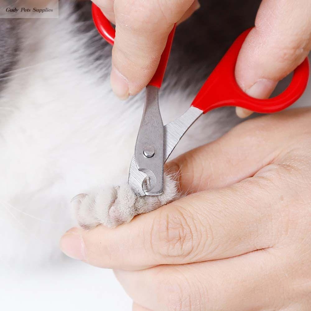 GUDY Toe Claw Convenient Pet Supplies For Small Cat Dog Dog Grooming Cat