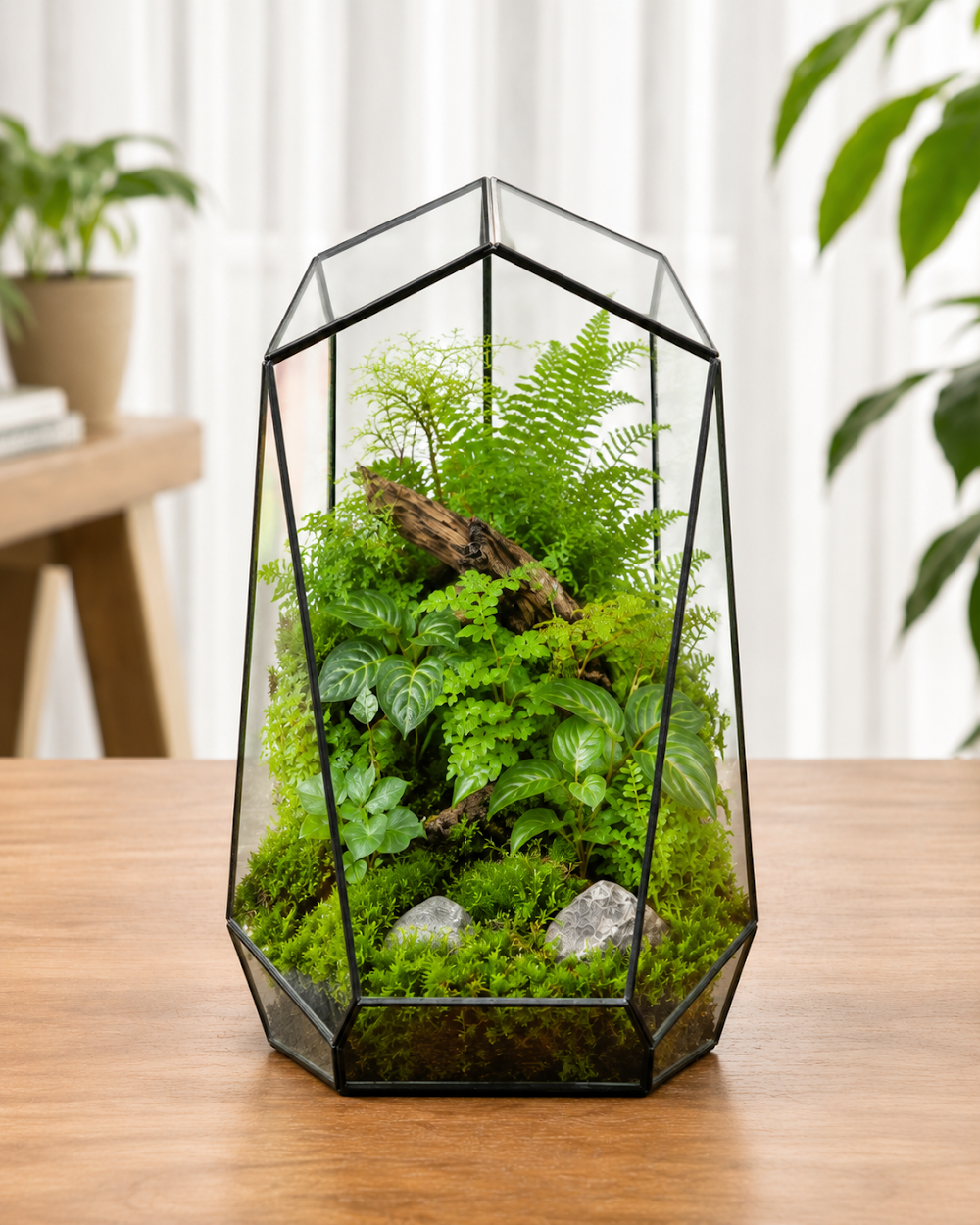 Bể Terrarium Standard Lục Giác - Rừng Nhiệt Đới (15x15x25cm)