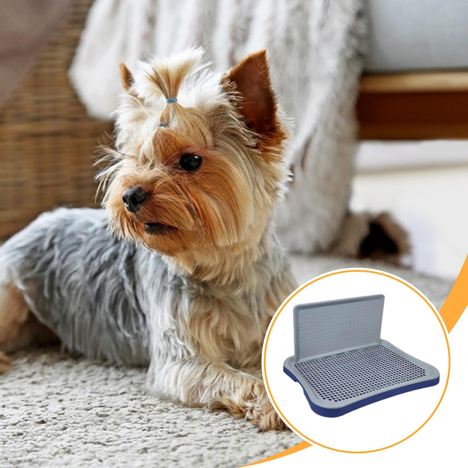 Meowhouse Dog Potty Tray Pee Pad Holder Dog Presyo  1,648 Piso*Libreng Shipping