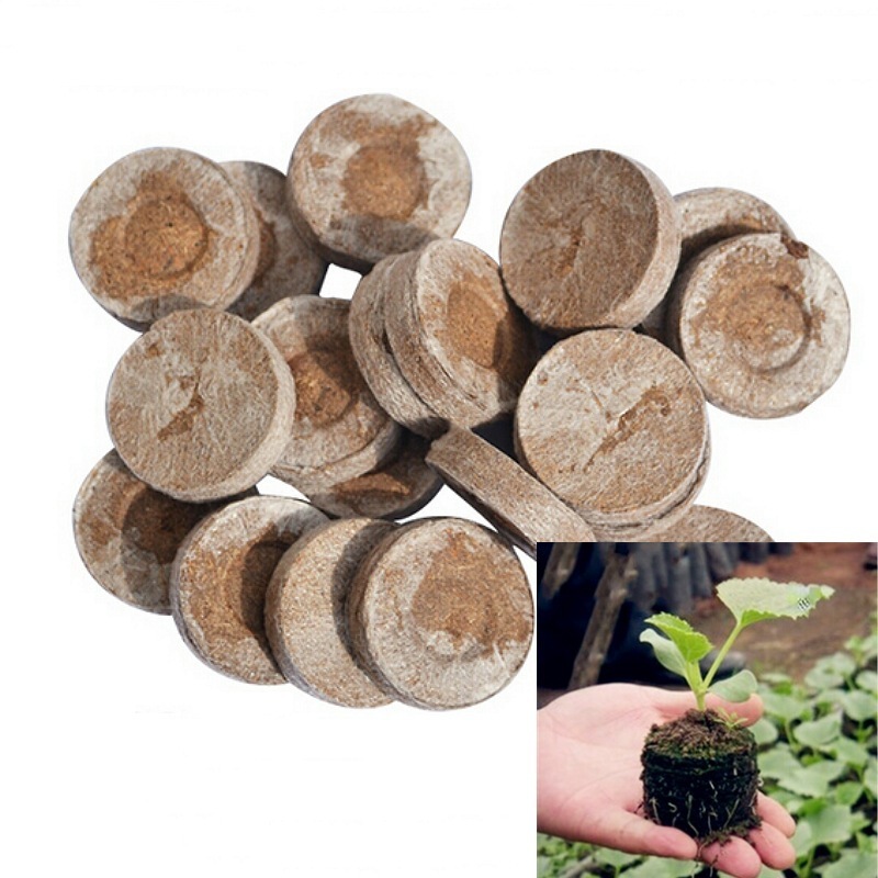 Combo 50 Viên Viên Nén Xơ Dừa Ươm Hạt giống, viên nén sơ dừa hữu cơ ươm trồng rau cây giống
