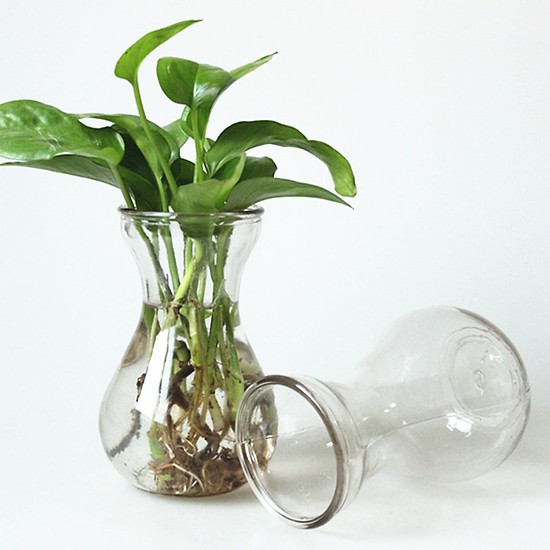 Bình bông lọ hoa thủy tinh eo nhỏ