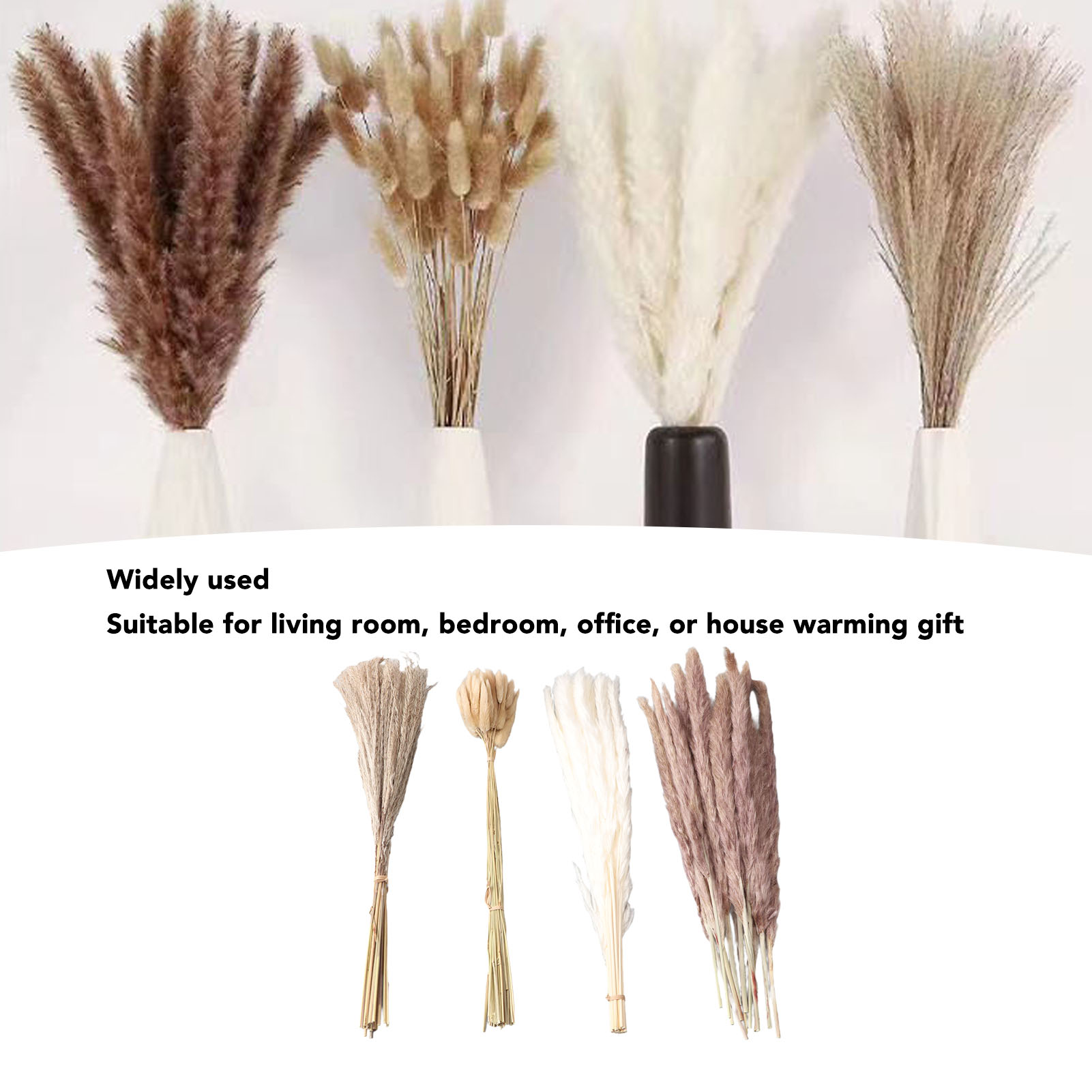 Khô pampas cỏ hoa khô sậy bền lâu cho đám cưới