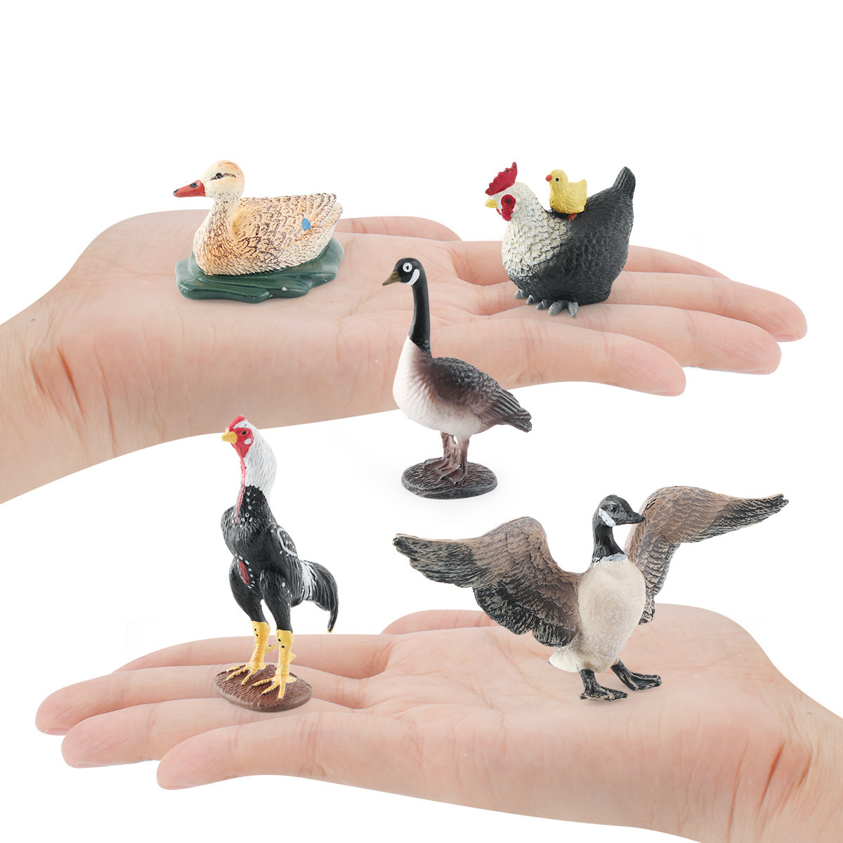 New simulation mother duck chicken hen back chicken Canada goose farm poultry chicken Duck Goose animal model ornaments