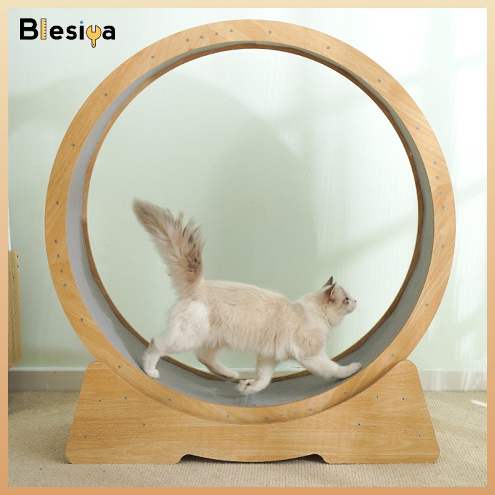 Cat Exercise Wheel Kitten Toys Mute Roller Climbing Frame Pet Wooden Treadmill for Walking Workout Scratching Napping Toys ราคา 12,994 บาท*ส่งฟรี
