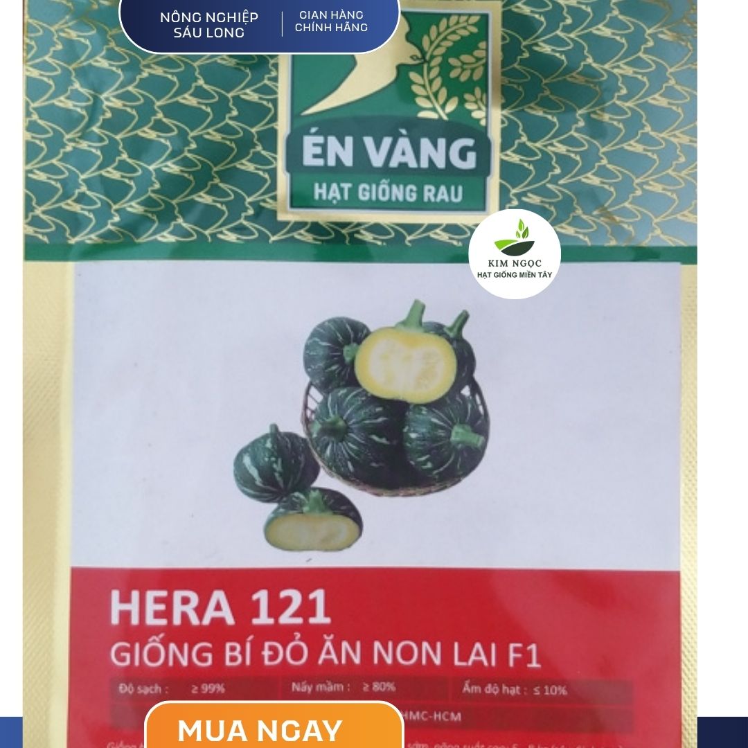 [100 hạt] Hạt giống Bí ăn non F1 HERA 121 năng suất cao, đậu trái tốt, sinh trưởng khỏe