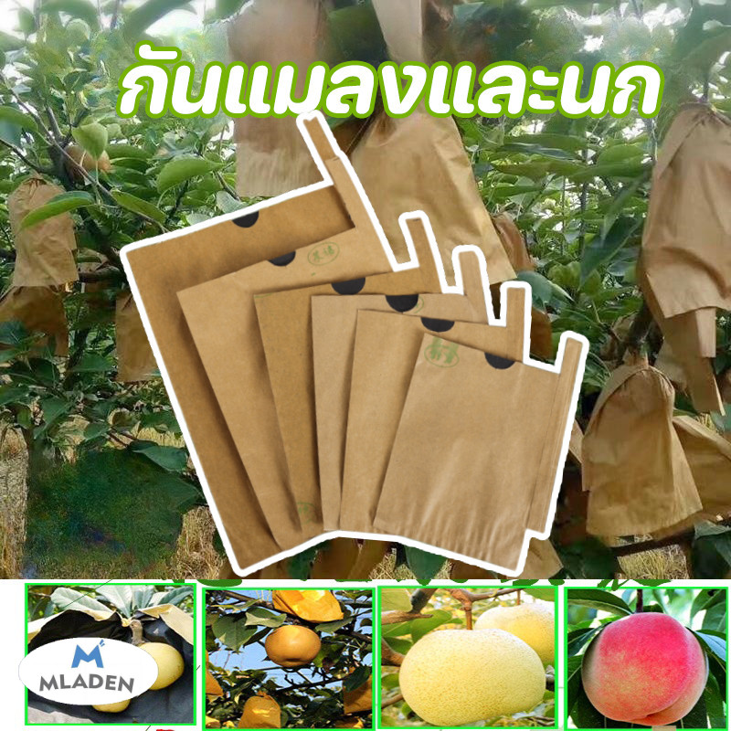 MLADEN ถุงห่อฝรั่ง คาร์บอนขนาด ถุงห่อผลไม้ 100PCS 2 ชั้น กันน้ำ กันแมลงและนก แข็งแรงทนทาน ราคา 90 บาท*ส่งฟรี