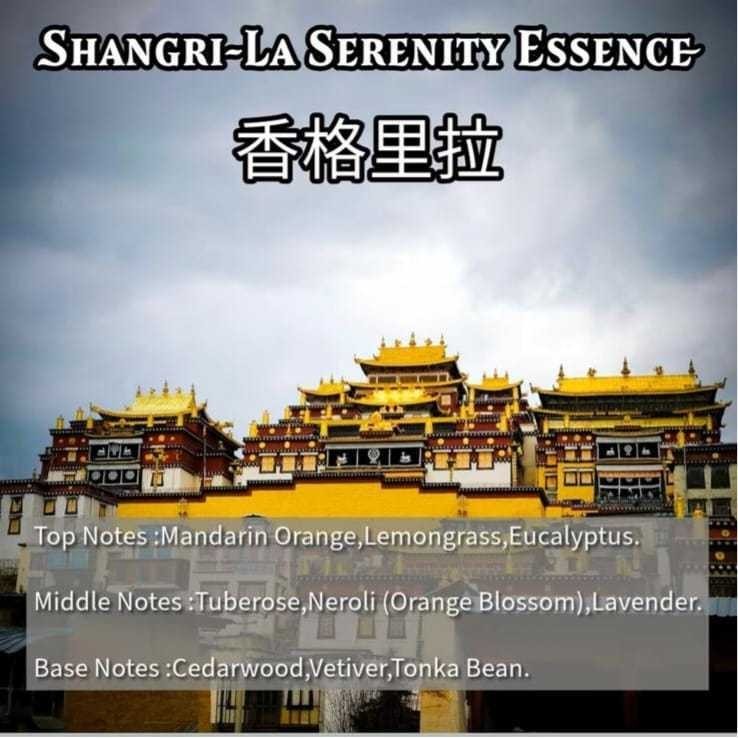 Long-Lasting Freshness Automatic Aroma Diffuser Essential Oil Fragrance Machine for Any Space Rechargeable