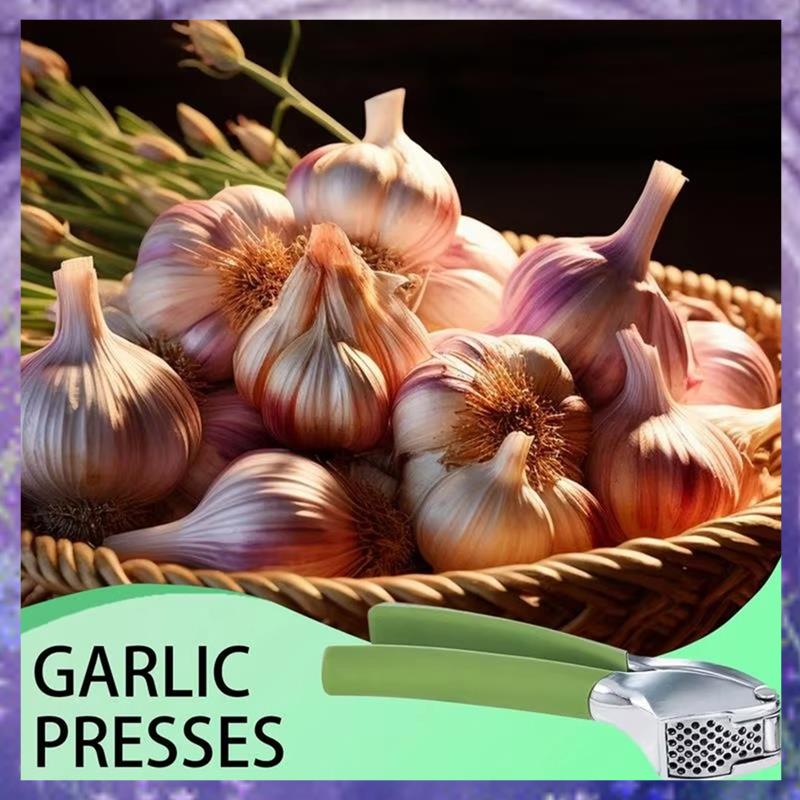 (WNPS) Stainless Steel Garlic Handheld Garlic Smasher Squeezer Crusher Mincer Manual Grinding Tool for Kitchen