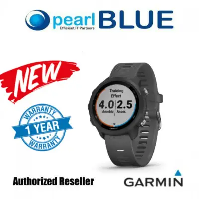 Garmin Forerunner 245 Slate Gray - GPS Running Smartwatch with Advanced Training Features