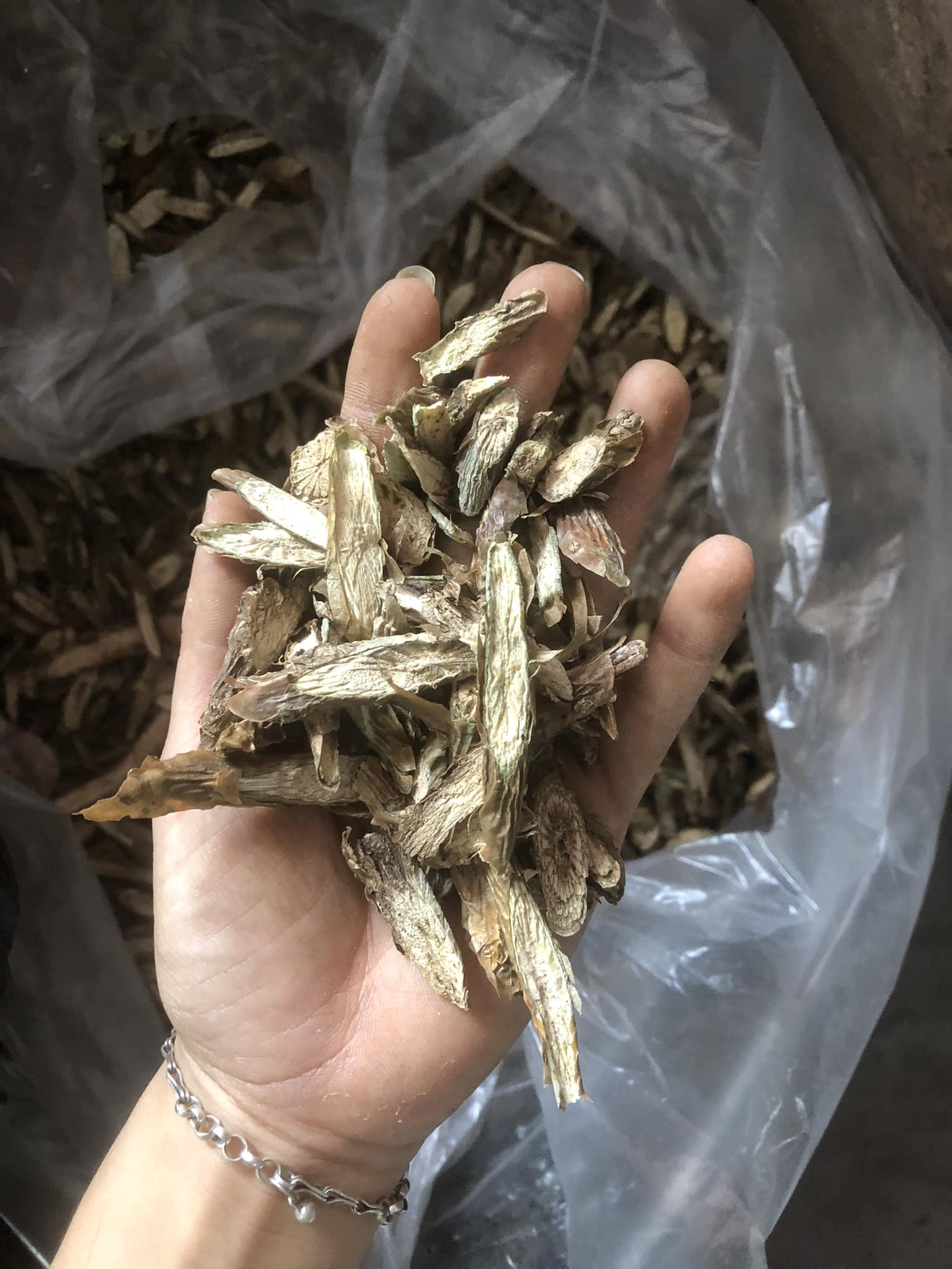 Cây đau xương khớp 1kg