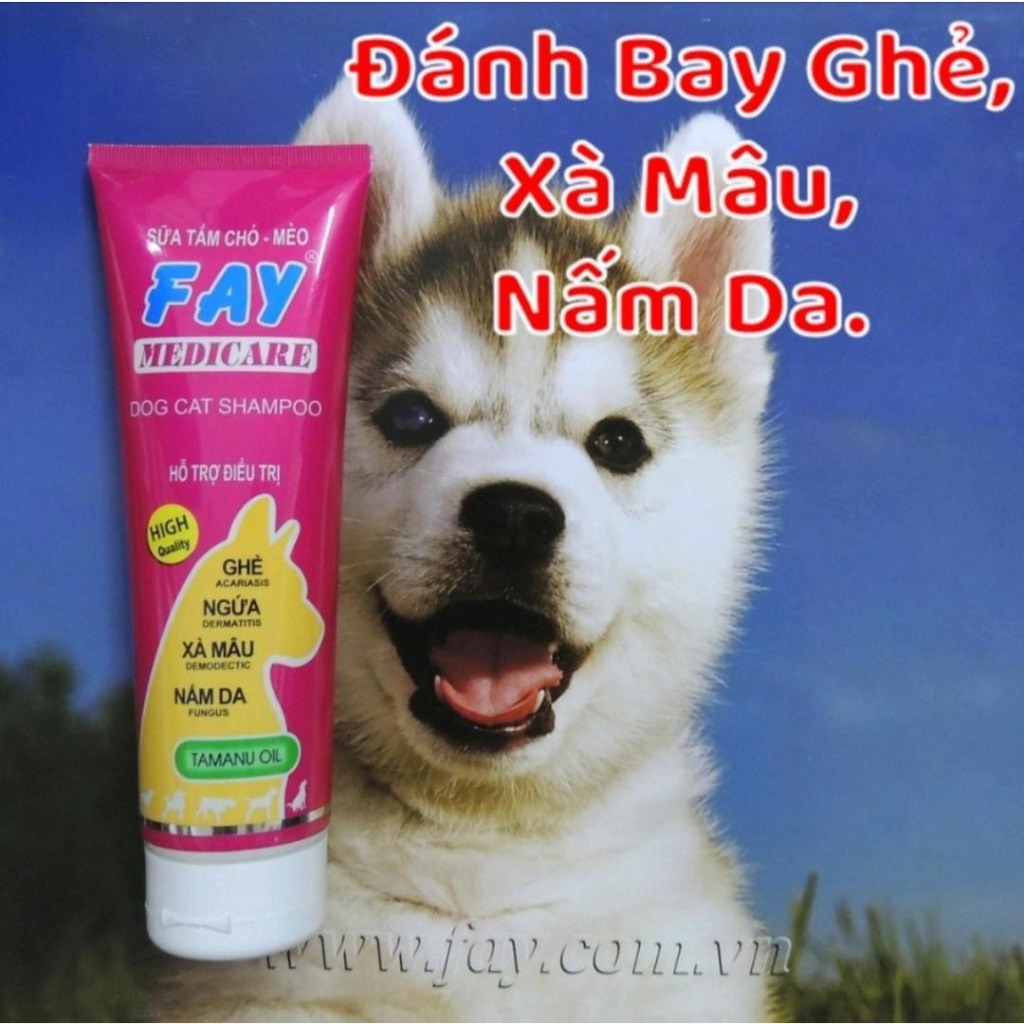 Sữa tắm loại bỏ ngứa, rụng lông, viêm da do Ghẻ, Xà mâu, Nấm da FAY MEDICARE 290ML - PET1989.