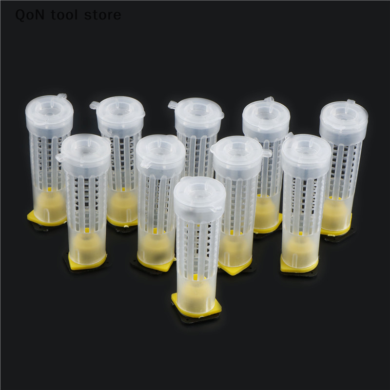 QoN tool Bộ 10 chiếc cốc nuôi ong dụng cụ thiết bị nuôi ong lồng nuôi ong chúa