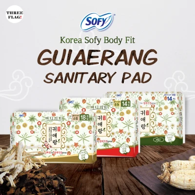 Korea Sofy Body Fit Guiaerang Sanitary Pad