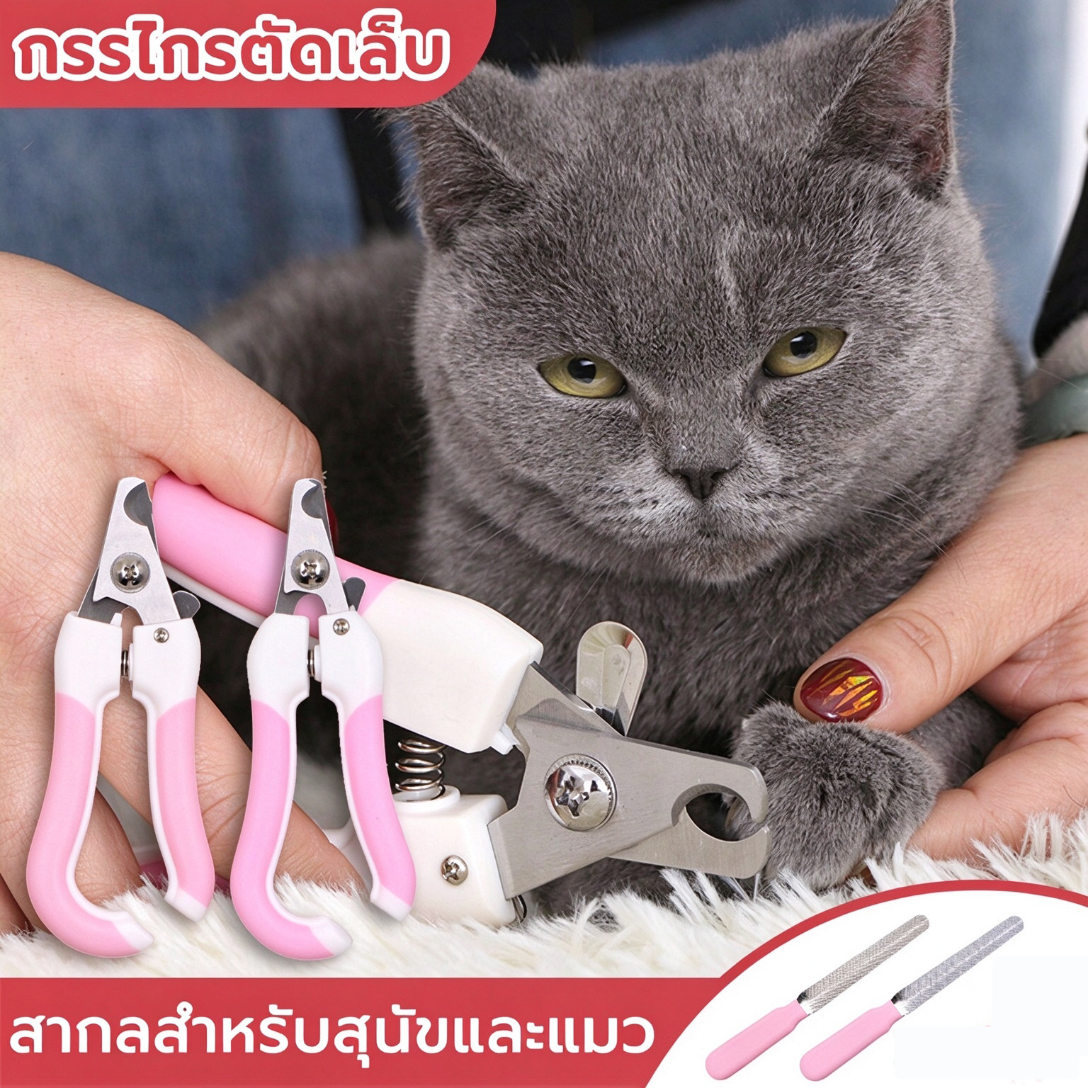 กรรไกรตัดเล็บแมวและสุนัขสำหรับสุนัข แมว ทุกสายพันธุ์ อุปกร