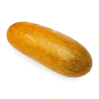 GIVVO Old Cucumber