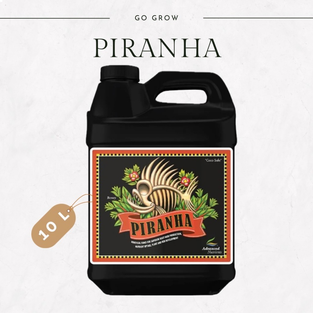 [สินค้าพร้อมจัดส่ง]⭐⭐ขวดแท้ Piranha ปริมาณ10 L ปุ๋ยเสริมธาตุอาหาร ต้นไม้ดูดสารอาหารเพิ่มมากขึ้น[สินค้าใหม่]จัดส่งฟรีมีบริการเก็บเงินปลายทาง⭐⭐ ราคา 34,950 บาท*ส่งฟรี