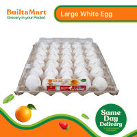 Large White Eggs (30pcs) by CP