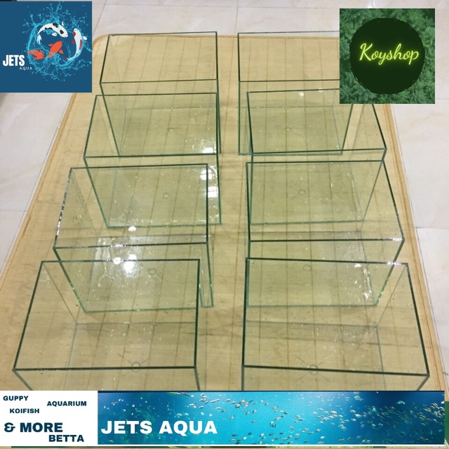 Bể cá Betta kích thước 15x6x15 - hồ show cá, dán giấu keo cực đẹp bảo hành bễ vỡ
