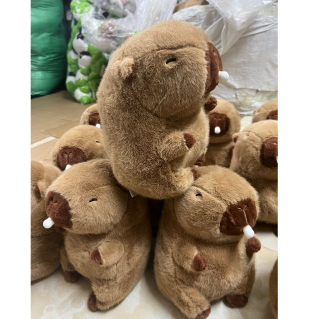 Gấu bông capybara chuột lang nước thổi bóng 25cm cute