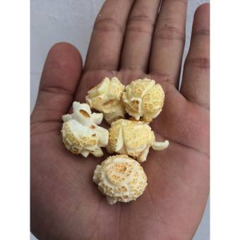 Bắp hạt nổ hình nấm (Mushroom popcorn) (1 KG/ GÓI)
