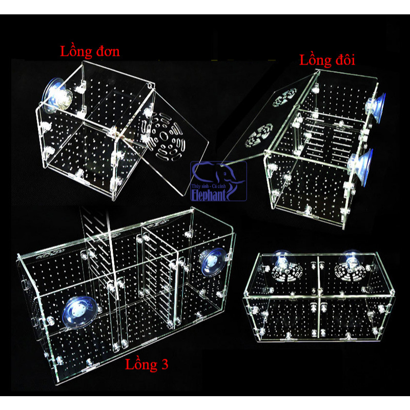 Lồng dưỡng cá, tép bằng mica siêu trong cho cá, tép cảnh