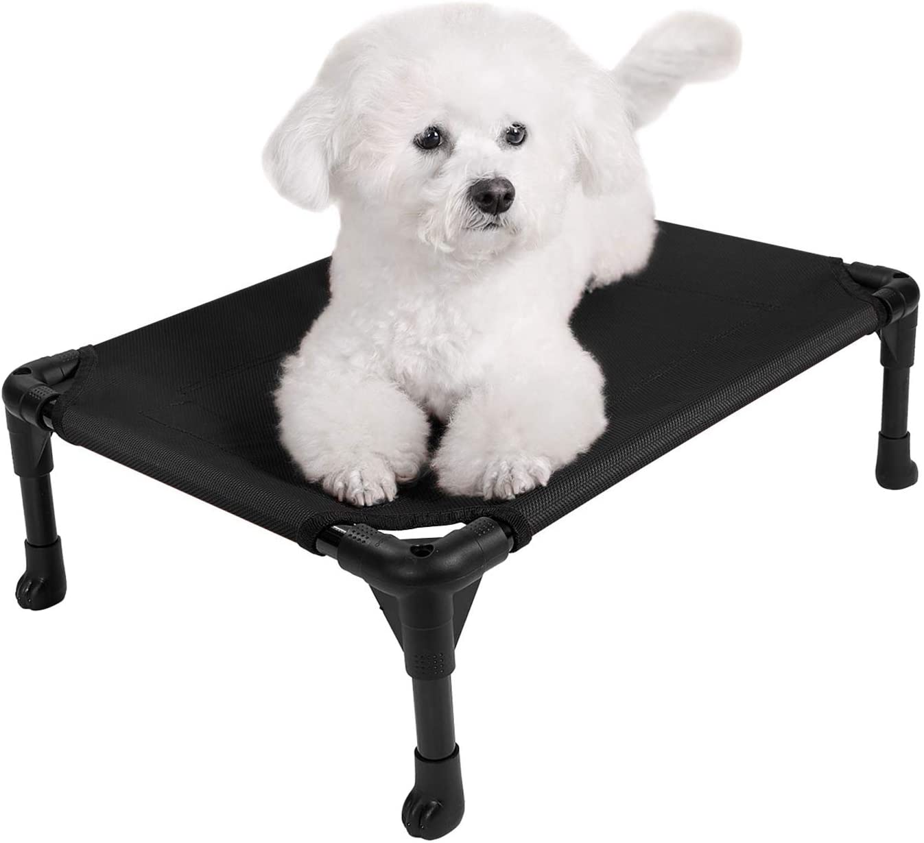 cot style dog bed