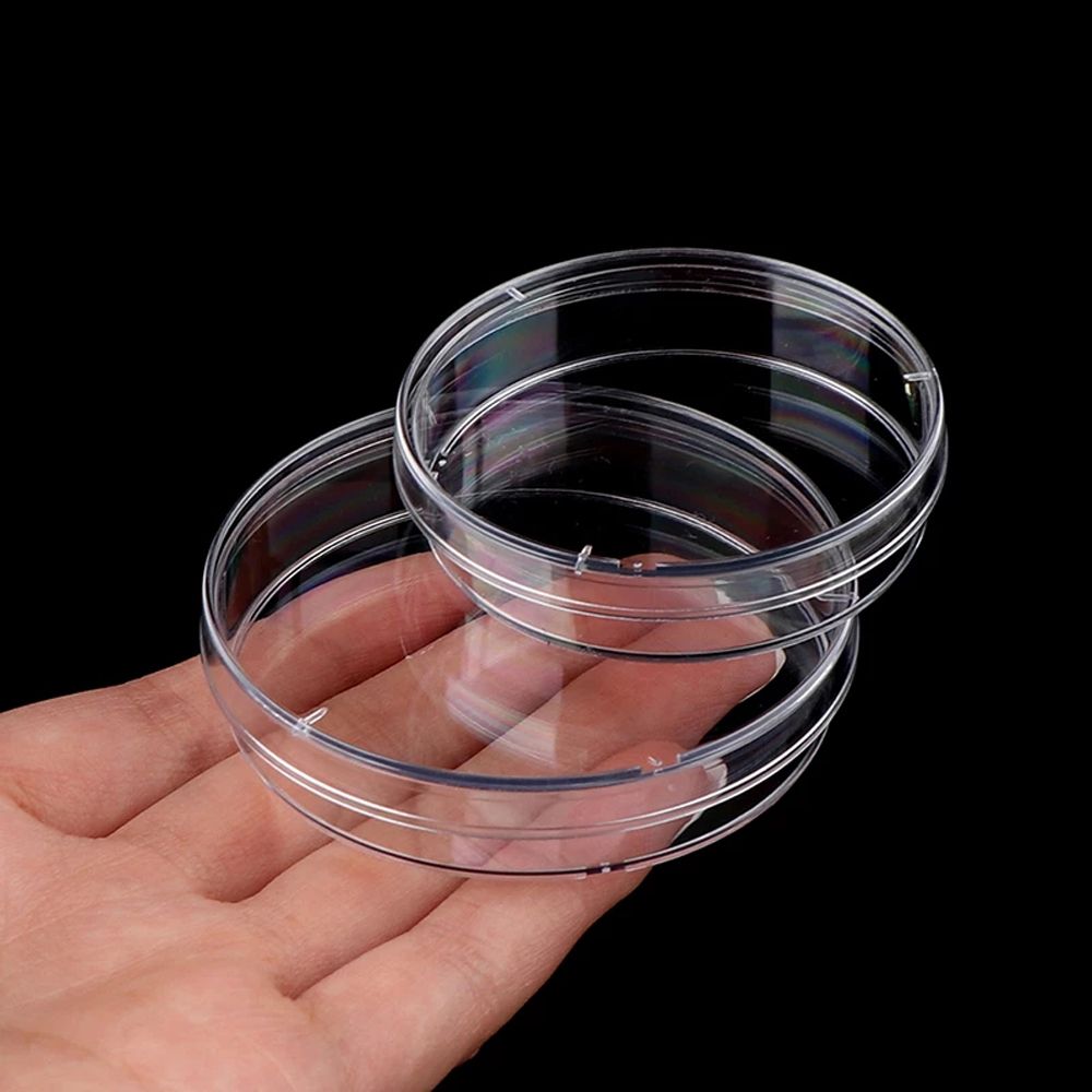 KUYES Nguồn cung cấp phòng thí nghiệm Đồ dùng học tập Nhựa Trong suốt 55x15mm 90x15mm Đĩa petri Món ăn nuôi cấy vi khuẩn Đĩa Petri vô trùng Dọn món Petri