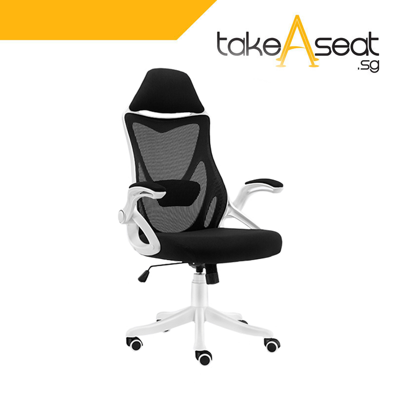 C65 Office Chair (Self Setup) Singapore