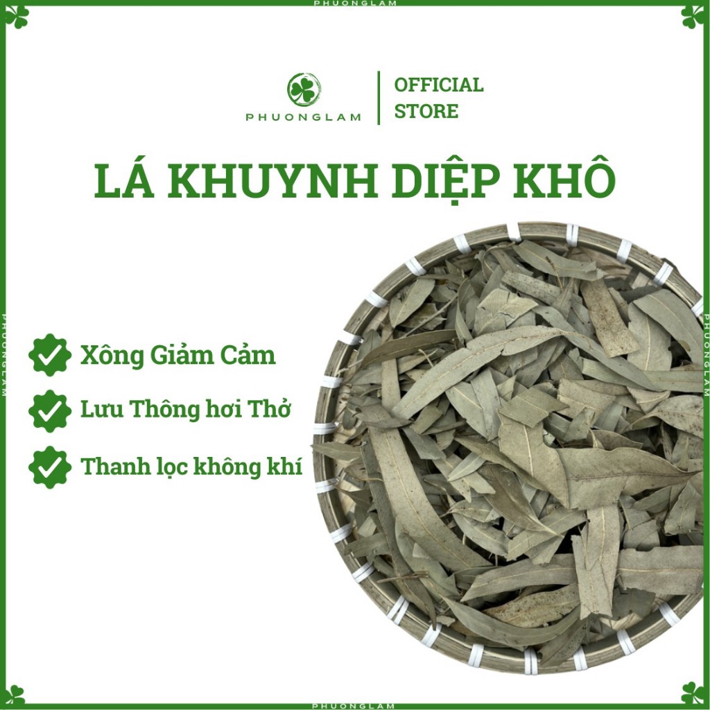 Lá Khuynh diệp khô dùng với bếp Xông Thảo Mộc giúp giảm cảm, Thanh lọc không khí, Thanh Tẩy nhà cửa