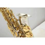 Brand NEW Japan WO37 Alto Saxophone, Nickel Plated Gold Key