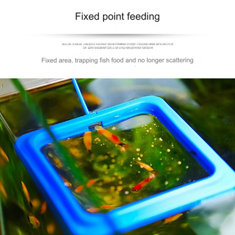 Fish Feeding Ring Floating Food Feeder Circle with Suction Cup Easy to Install Aquarium