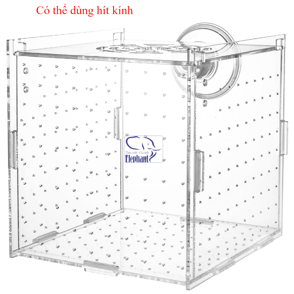 Lồng dưỡng, tách cá, tép bằng mica siêu trong cho cá, tép cảnh