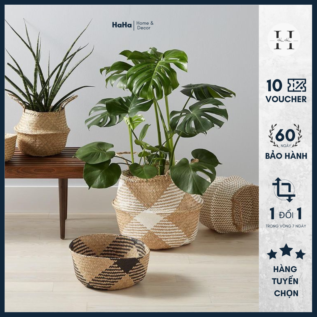 東洋セラミックス 有田焼 6月 Cha 550c おしゃれポット セランドグラス バラ 誕生花 高価値 セランドグラス