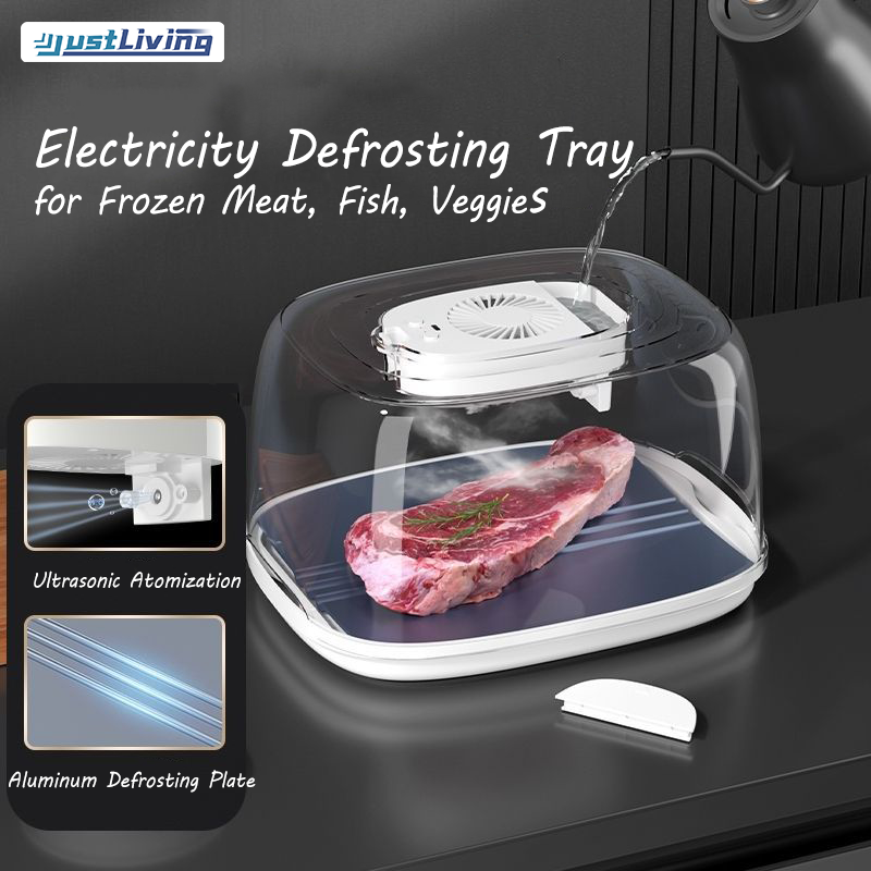 JustLiving Electricity Defrosting Tray for Frozen Meat,Kitchen Thawing Board,Large Electricity Atomized Defroster Thawing Tray for Frozen Meat, Veggies ราคา 1,289 บาท*ส่งฟรี