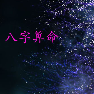 Basic Bazi (简批八字服务)