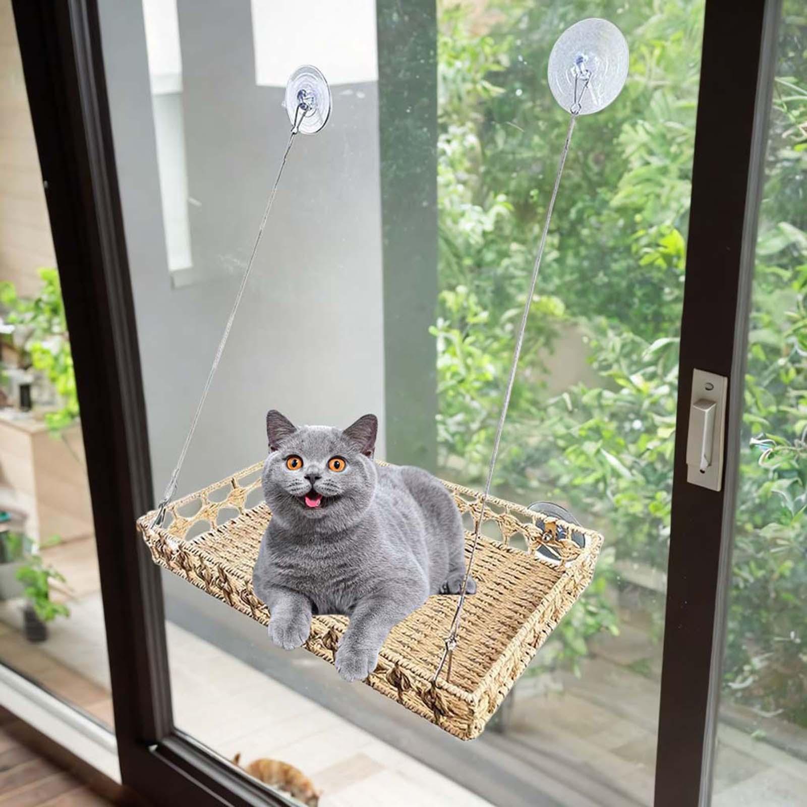 Serally chỗ nằm cho Mèo Bên Cửa Sổ võng cho mèo cửa sổ gắn cá rô tắm nắng