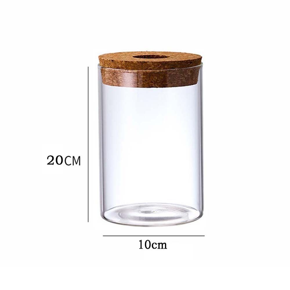 Glass Hydroponic Plants Flower Pot Transparent Thickened Ecological Glass Vase Fish Tank Mini Transparent Glass Pots Home