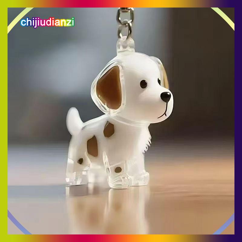 chijiudianzi Rõ ràng Puppy tóc tưởng niệm lưu niệm viên nang pet của chó lông container tự làm mặt dây chuyền Keychain trang trí vật nuôi những người yêu thích nhà hiển thị Quà Tặng - 4