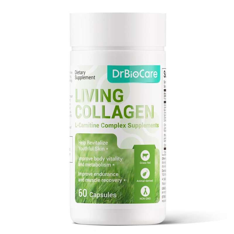 Thực phẩm bổ sung DrBioCare Living Collagen L-Carnitine Complex, không chứa GMO, Peptide collagen từ bò ăn cỏ, sữa non bò, quế, chiết xuất lá dâu tằm