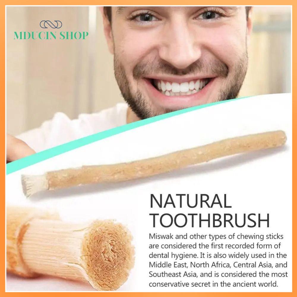 MDUCIN SHOP Không cần kem đánh răng Bàn chải đánh răng Miswak Truyền thống Lông mềm Que Miswak cho răng Thân thiện với môi trường Bàn chải đánh răng tự nhiên Du lịch