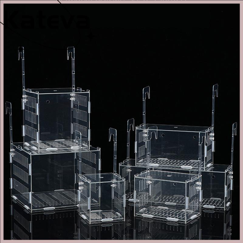 [Kateva]Convenient Easy For Lowest Price Bể cá nhỏ Fry chăn nuôi hộp rõ ràng Acrylic cá chăn nuôi cách ly hộp giống Divider sinh sản nở phòng cá Nguồn cung cấp