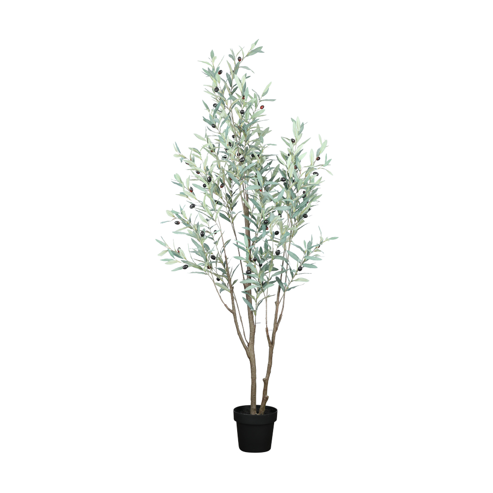 INDEX LIVING MALL OLIVE Olive tree in pot 180 cm. - Green/Black ราคา 3,990 บาท*ส่งฟรี