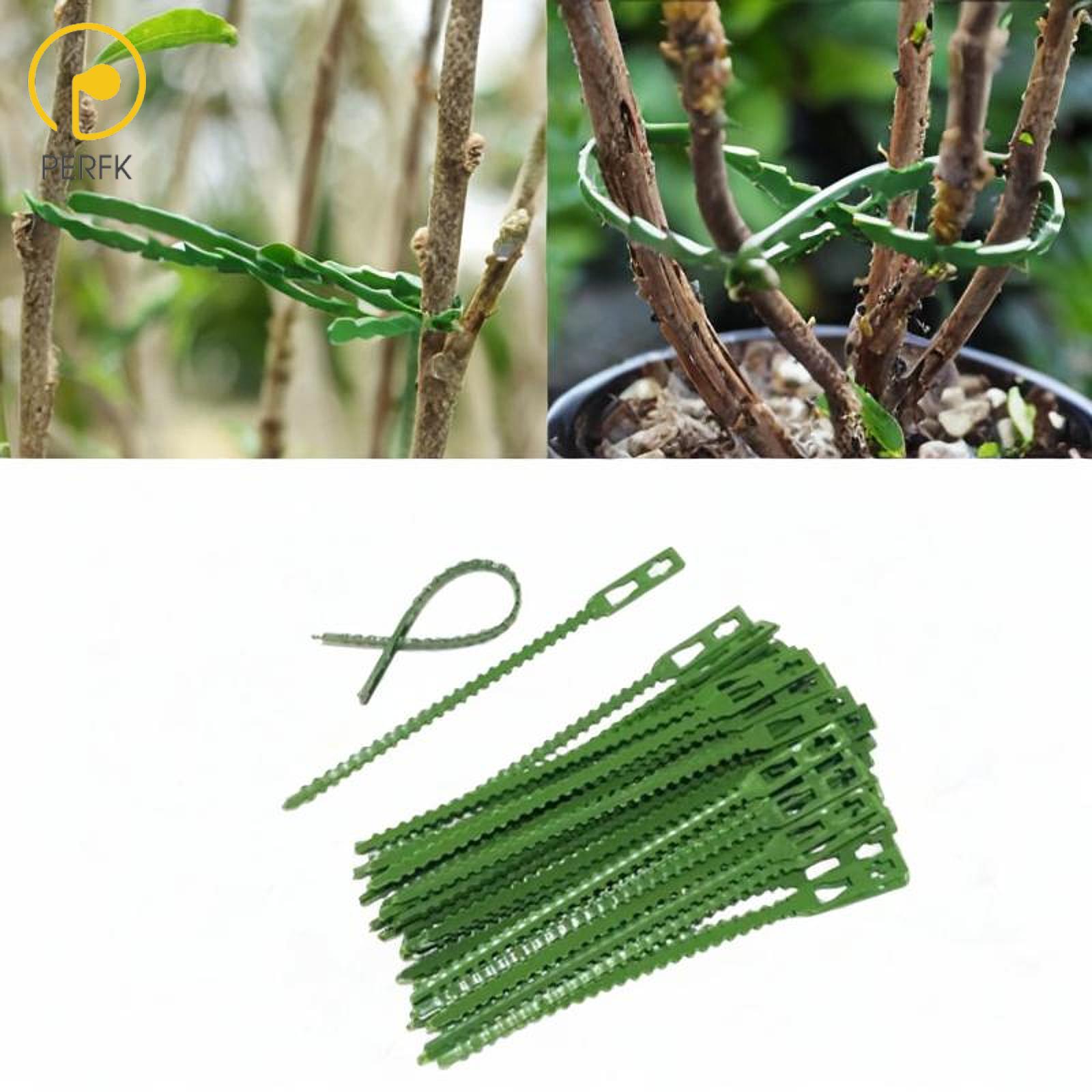 Perfk 50Pcs Adjustable Plant Ties Zip Ties Multipurpose Sturdy Self Locking Twist Ties Flexible for Indoor Outdoor Home Office ราคา 45 บาท*ส่งฟรี