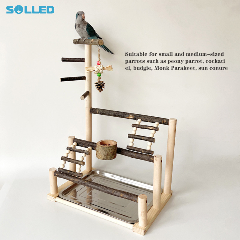 Parrot Playground, Bird Perch Stand, Bird Natural Wood Play Gym Playstand With Feeding Cup Chew Toy Ladder Stainless Steel Tray For Parakeet Cockatiel ราคา 874 บาท*ส่งฟรี