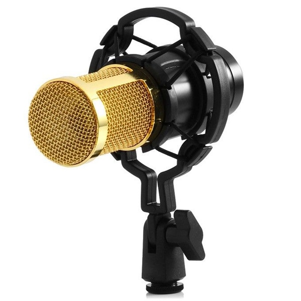 Micro thu âm chuyên nghiệp BM900 - Đơn chỉ micro