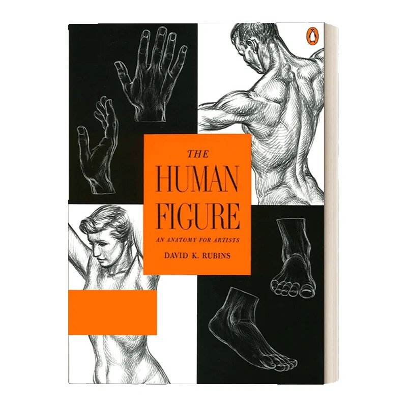 Milu The Human Figure David K Rubins Original English Books ราคา 1,034 บาท*ส่งฟรี