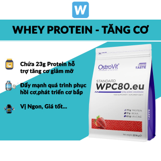 Thực Phẩm Bổ Sung Tăng Cơ Ostrovit WPC80.eu Whey Protein Concentrate 2.27kg thumbnail