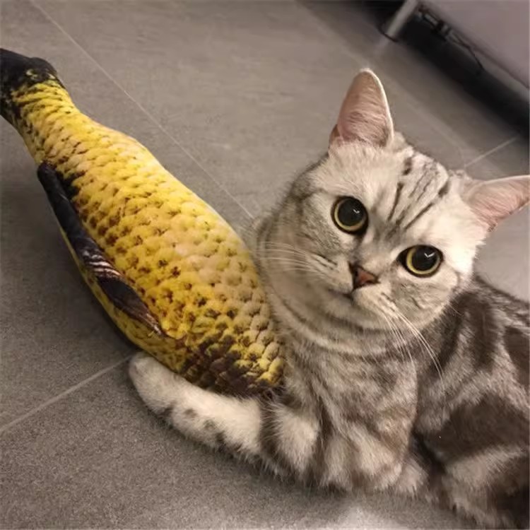 Đồ chơi cá giả dành cho mèo cưng