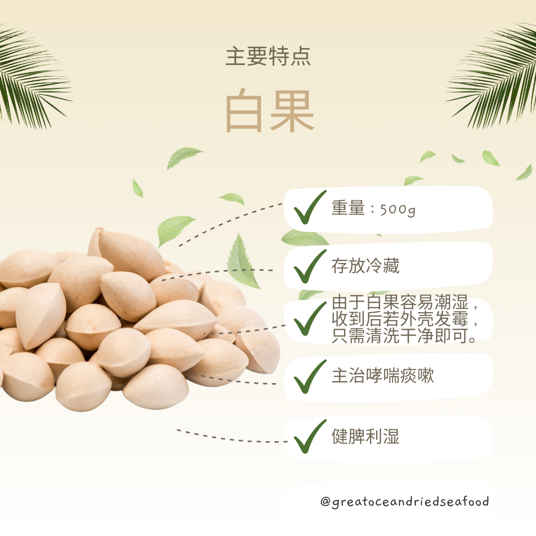 Chinese ginkgo information card showing whole nuts in their shells｜白果中文说明图与带壳白果